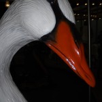 Angry_Bird on Carousel
