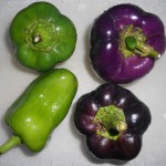 Purple Peppers Purple Peppers