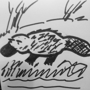 Sketch of Platypus
