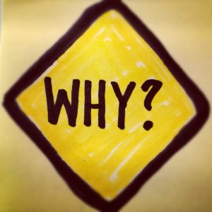 marketing needs a why?