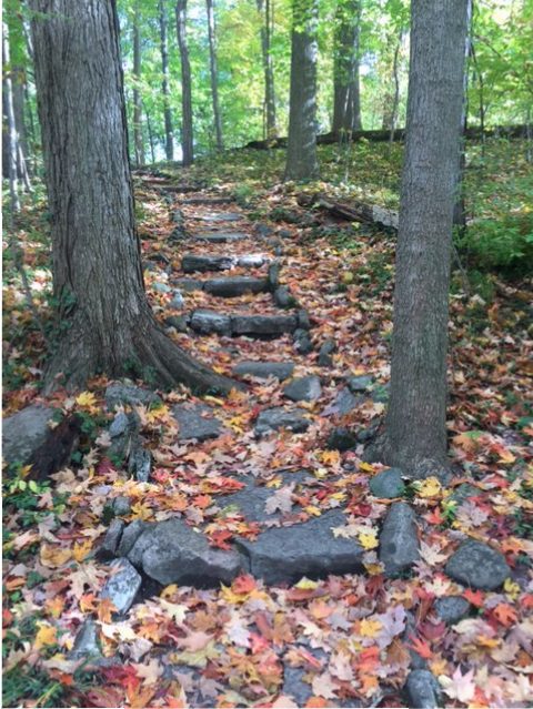 Stone hiking path covered in leaves