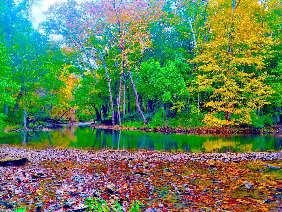 River bank in fall