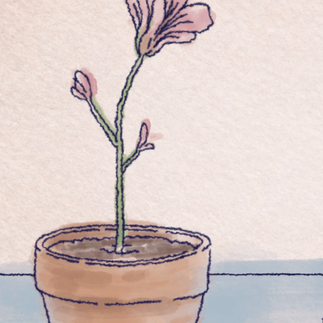 Illustrated flower