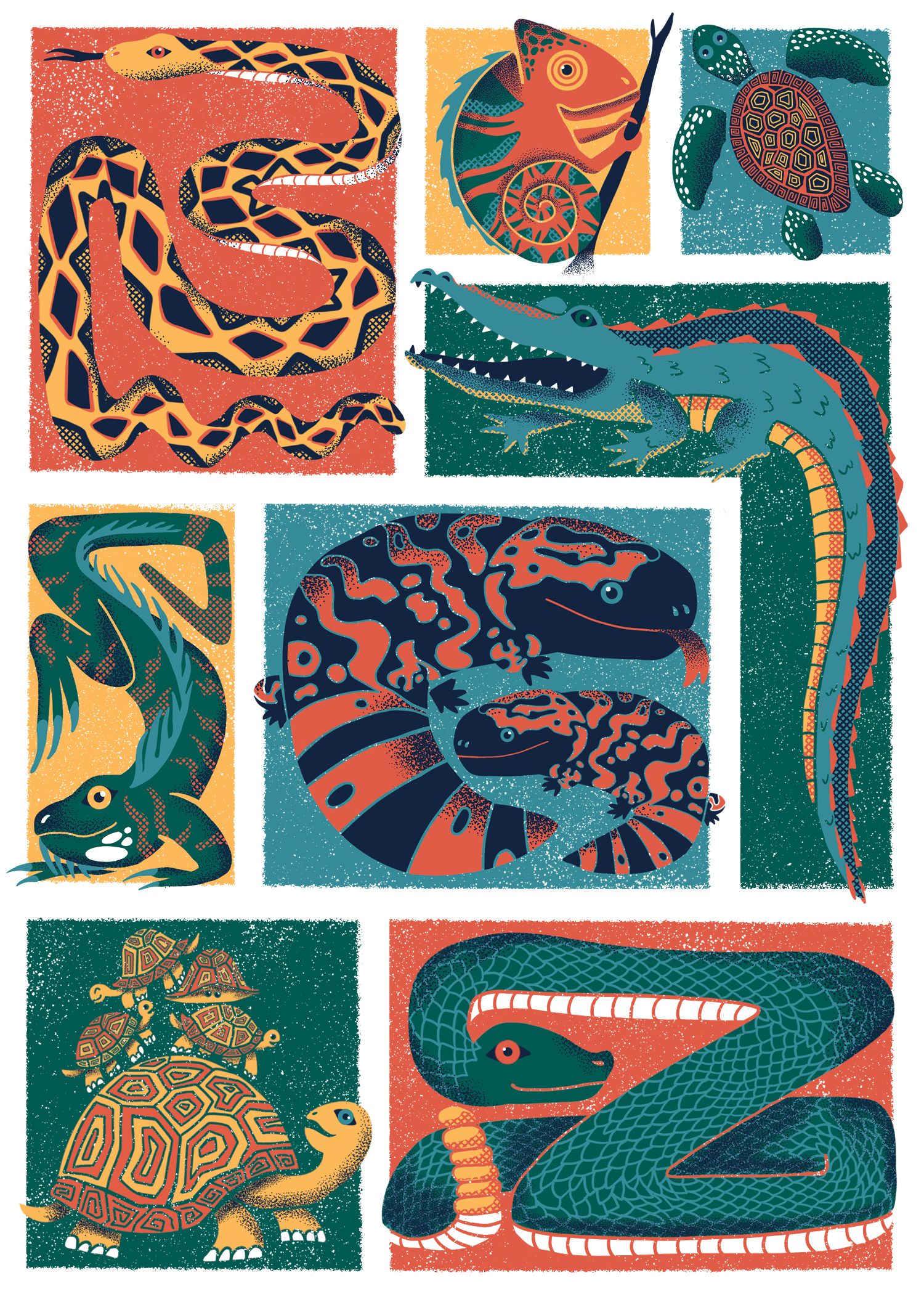 Illustration of reptiles